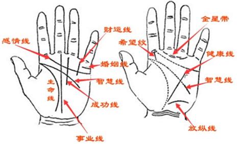 男手相分析|手相解析大全